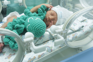 Noções basicas: como cuidar do bebe prematuro Noções basicas: como cuidar do bebe prematuro